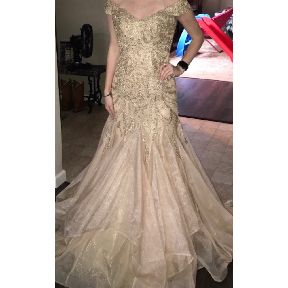 Pageant/Prom Dress - Picture 2 of 3